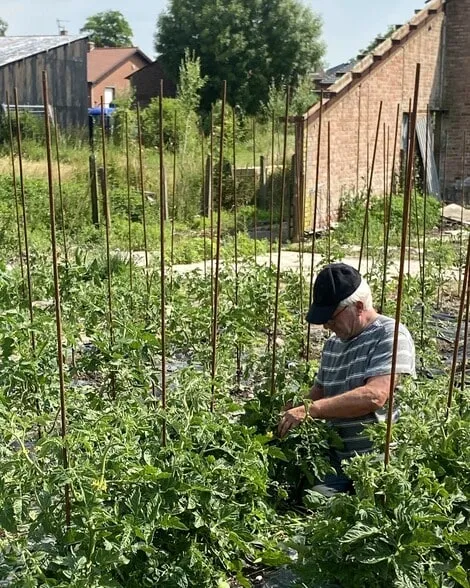 La ferme familiale